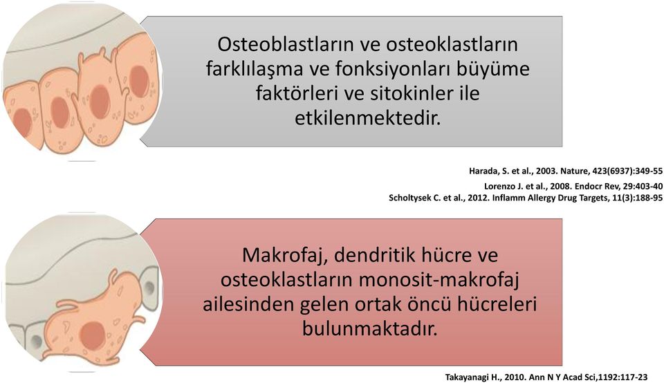 Endocr Rev, 29:403-40 Scholtysek C. et al., 2012.