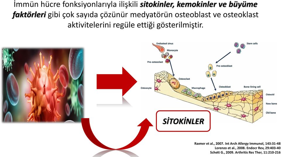 gösterilmiştir. SİTOKİNLER Raımer et al., 2007.