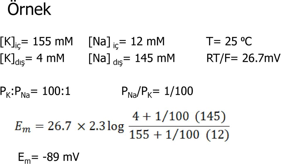 dış= 145 mm RT/F= 26.