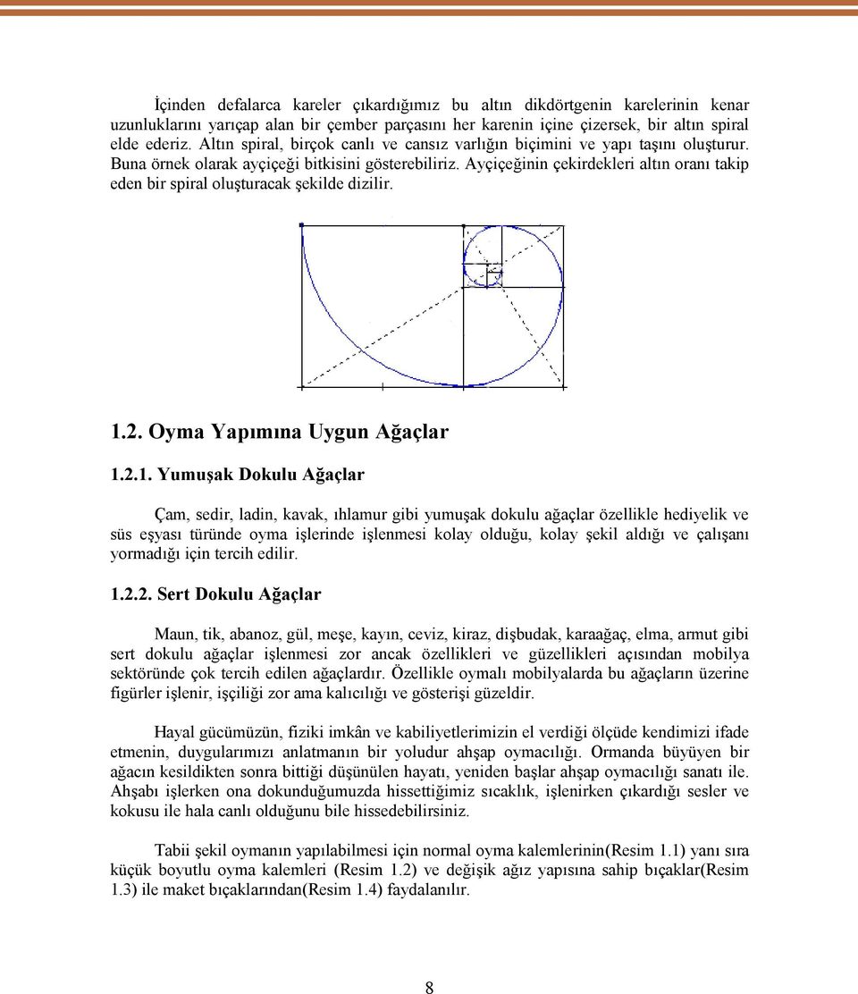 Ayçiçeğinin çekirdekleri altın oranı takip eden bir spiral oluşturacak şekilde dizilir. 1.