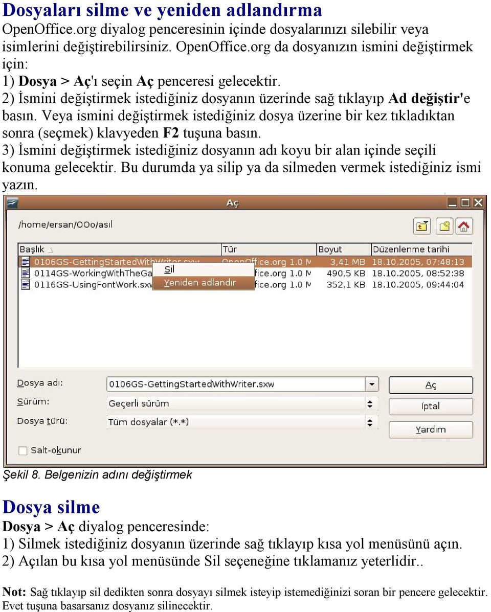 3) İsmini değiştirmek istediğiniz dosyanın adı koyu bir alan içinde seçili konuma gelecektir. Bu durumda ya silip ya da silmeden vermek istediğiniz ismi yazın. Şekil 8.