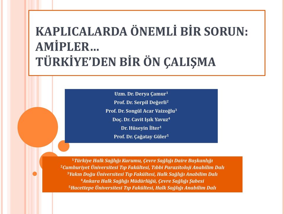 Hüseyin İlter 1 Prof. Dr.