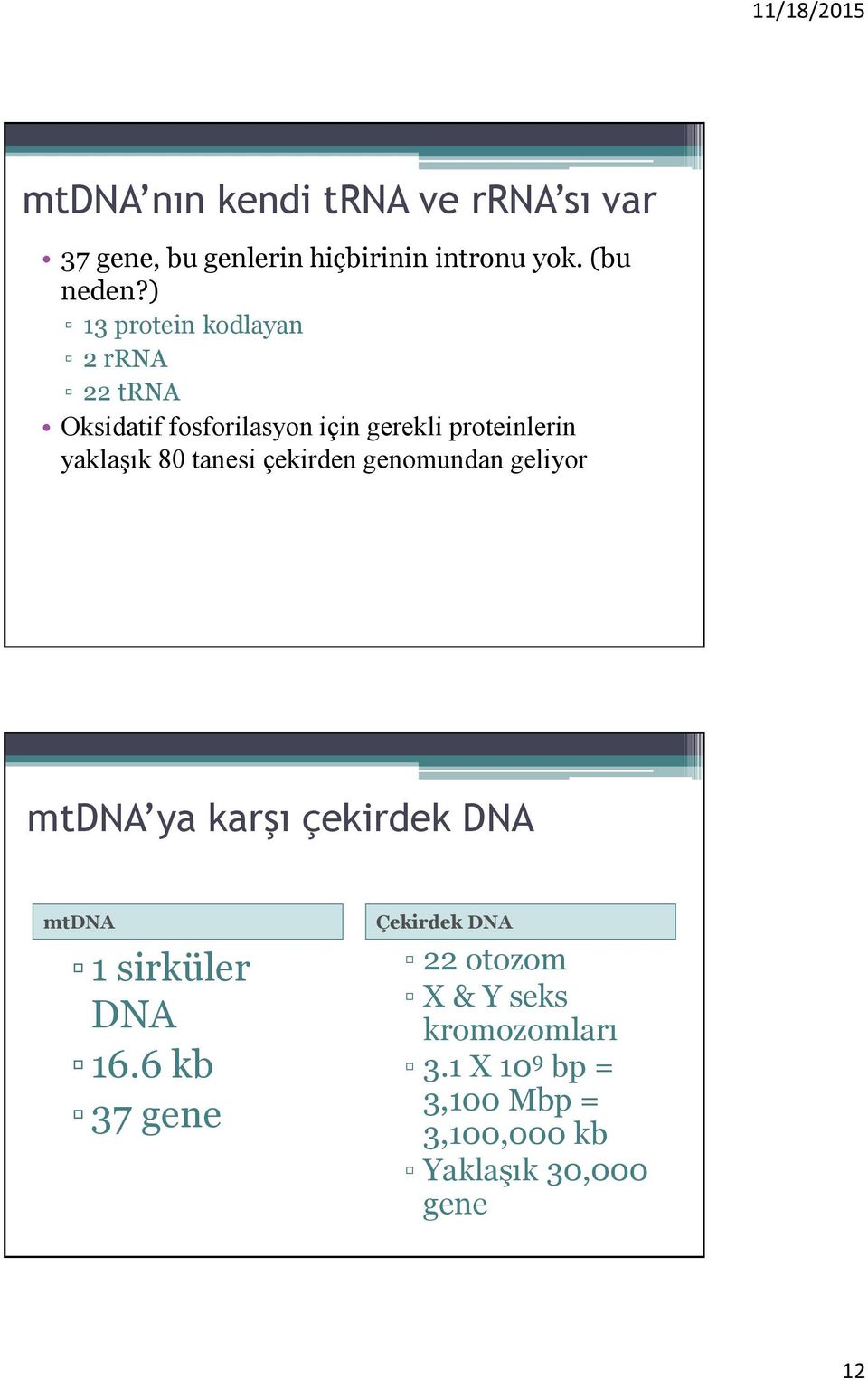 tanesi çekirden genomundan geliyor mtdna ya karşı çekirdek DNA mtdna 1 sirküler DNA 16.