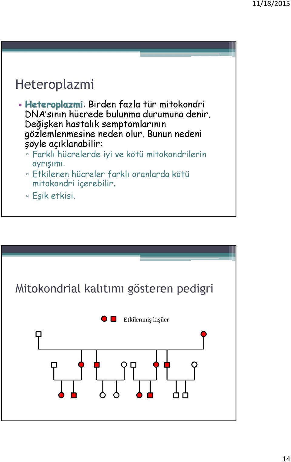 Bunun nedeni şöyle açıklanabilir: Farklı hücrelerde iyi ve kötü mitokondrilerin ayrışımı.