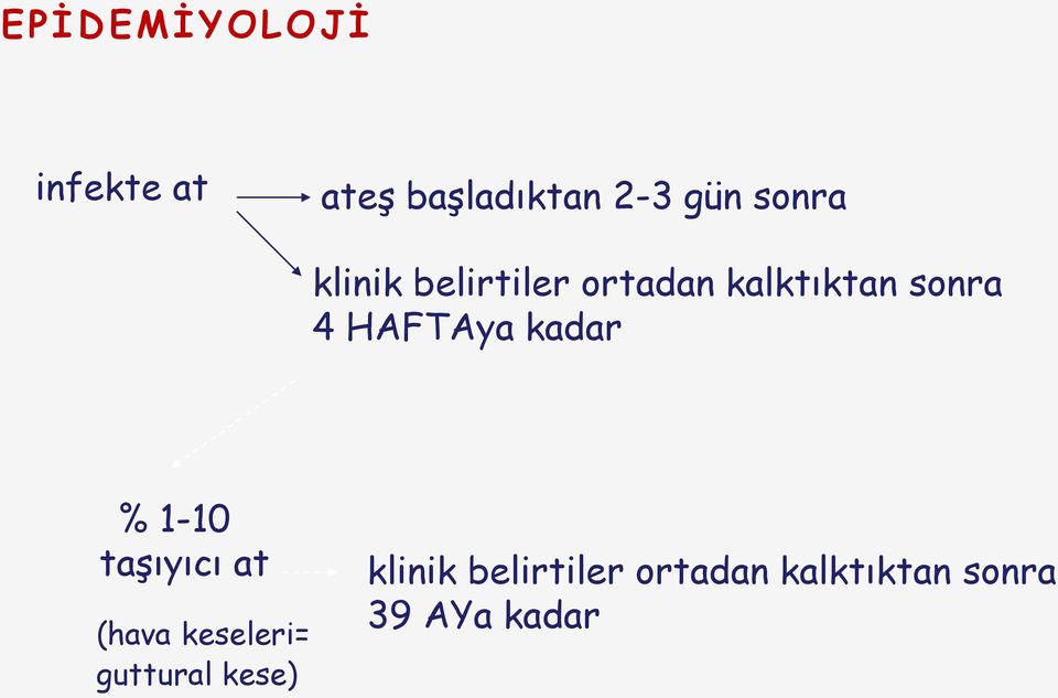 HAFTAya kadar % 1-10 taşıyıcı at (hava keseleri=