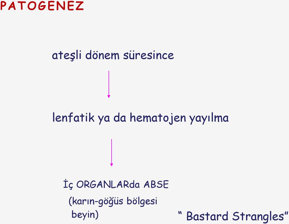 İç ORGANLARda ABSE (karın-göğüs