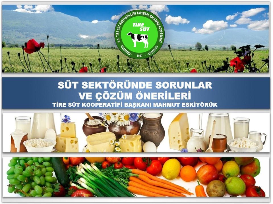 ÖNERİLERİ TİRE SÜT