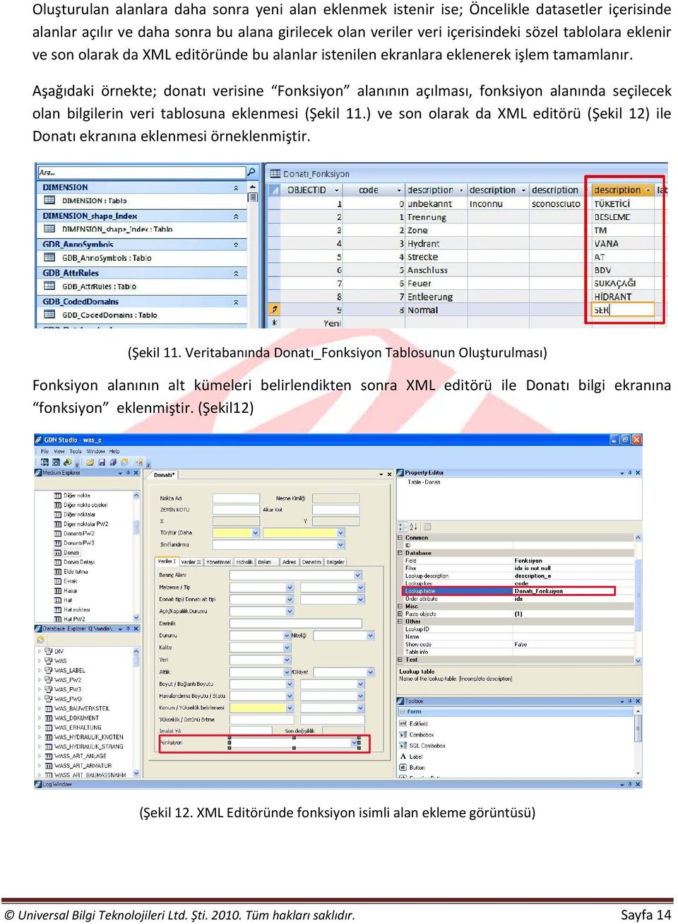 Donatı bilgi ekranı son hali) Sistemde daha önce tanımlanmış bir alan üzerinde değişiklik yapmak XML editörü vasıtası ile oldukça rahattır.