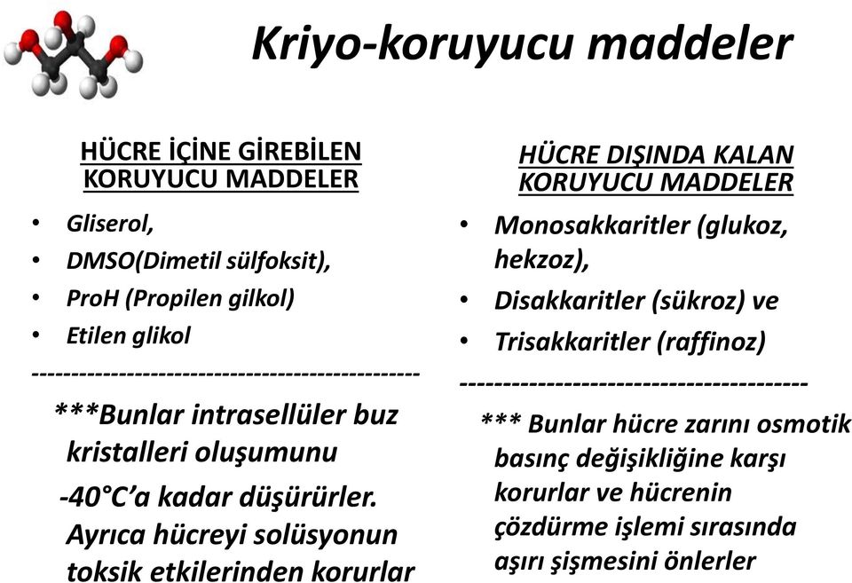 Ayrıca hücreyi solüsyonun toksik etkilerinden korurlar HÜCRE DIŞINDA KALAN KORUYUCU MADDELER Monosakkaritler (glukoz, hekzoz), Disakkaritler (sükroz) ve