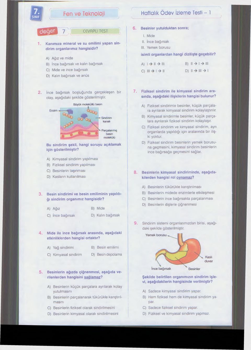 Yemek borusu isimli organlardan hangi dizilişte geçebilir? A) I II -» I B) II -> I -» II C) III I -» D) II III -> 2. İnce bağırsak boşluğunda gerçekleşen bir olay, aşağıdaki şekilde gösterilmiştir.