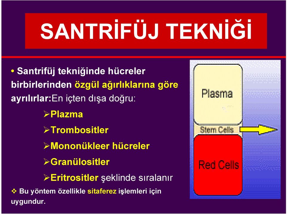 Trombositler Mononükleer hücreler Granülositler Eritrositler