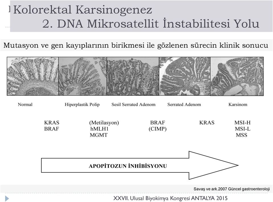 DNA MİKROSATELLİT İNSTABİLİTESİ YOLU Mutasyon ve ve gen gen kayıplarının