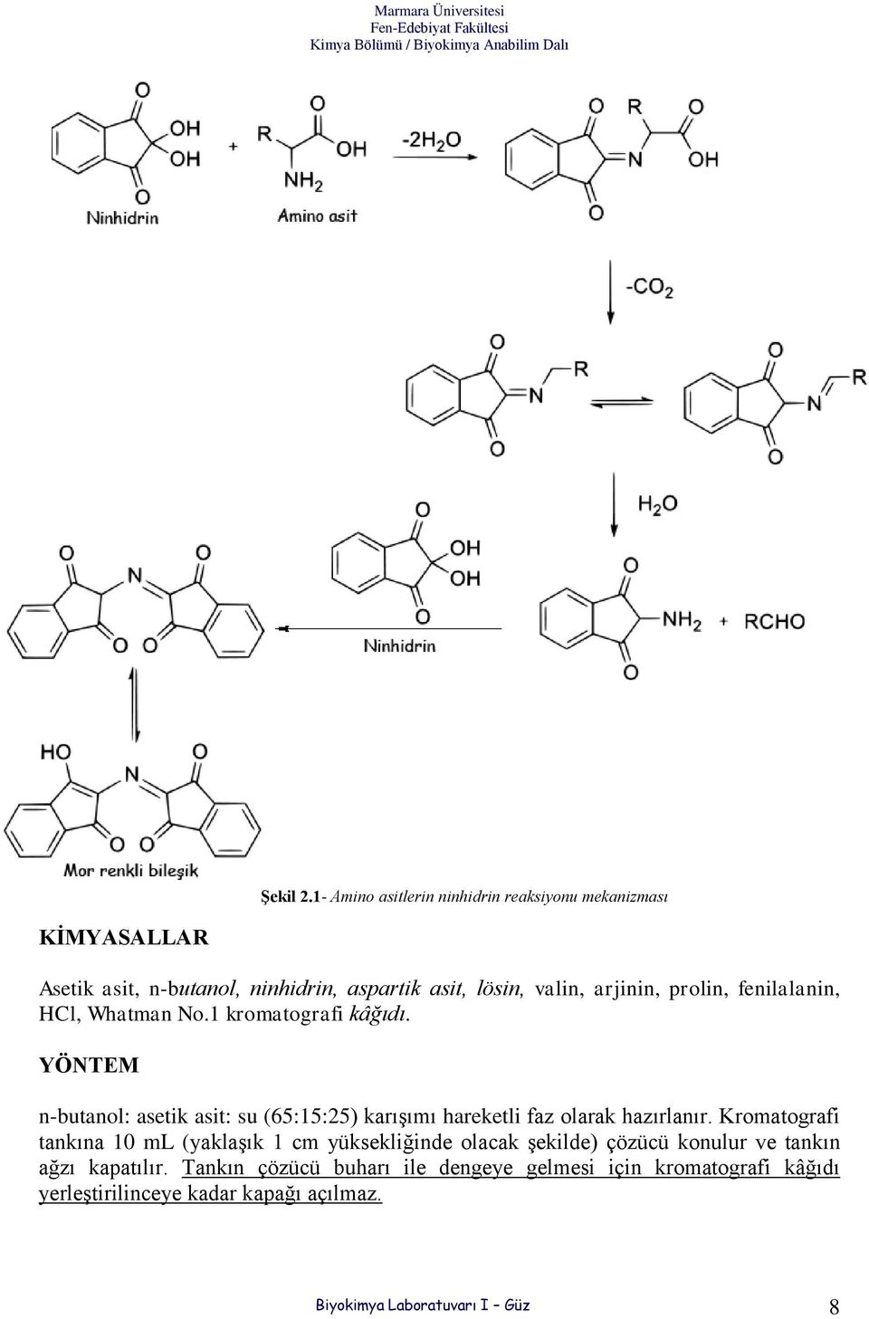 arjinin, prolin, fenilalanin, HCl, Whatman No.1 kromatografi kâğıdı.