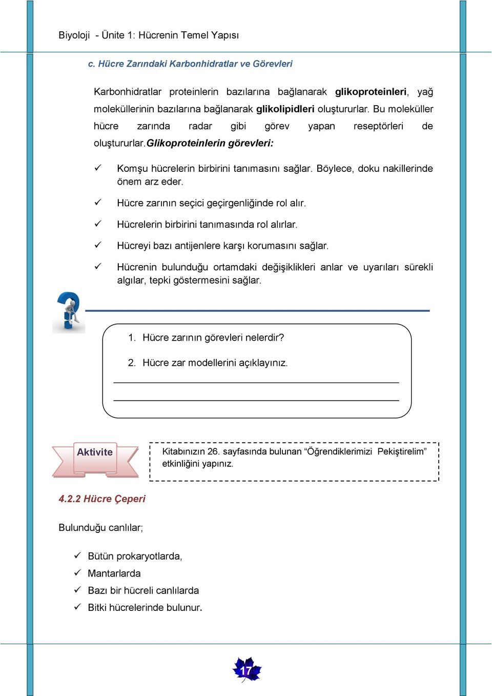 Hücre zarının seçici geçirgenliğinde rol alır. Hücrelerin birbirini tanımasında rol alırlar. Hücreyi bazı antijenlere karşı korumasını sağlar.