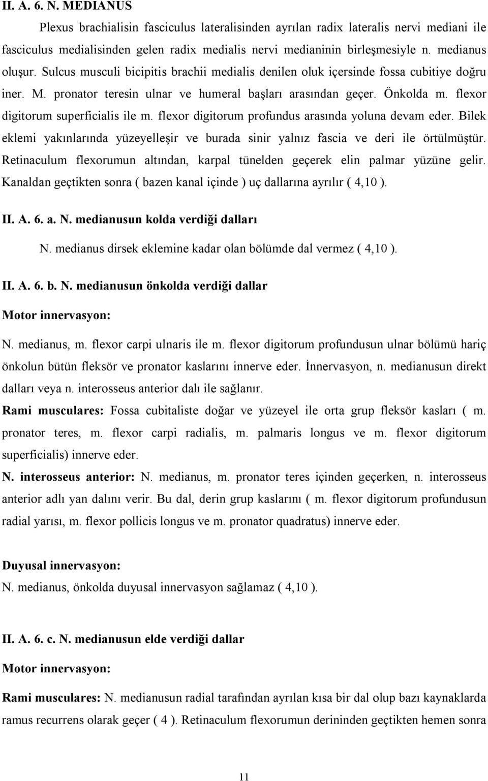 flexor digitorum superficialis ile m. flexor digitorum profundus arasında yoluna devam eder. Bilek eklemi yakınlarında yüzeyelleşir ve burada sinir yalnız fascia ve deri ile örtülmüştür.