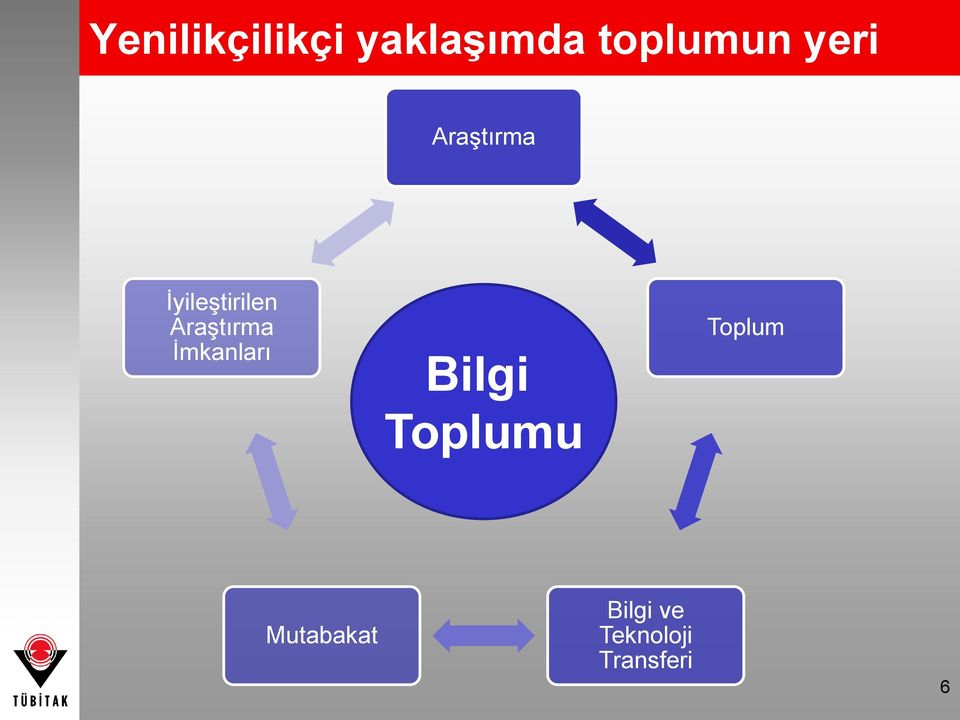 Araştırma İmkanları Bilgi Toplumu