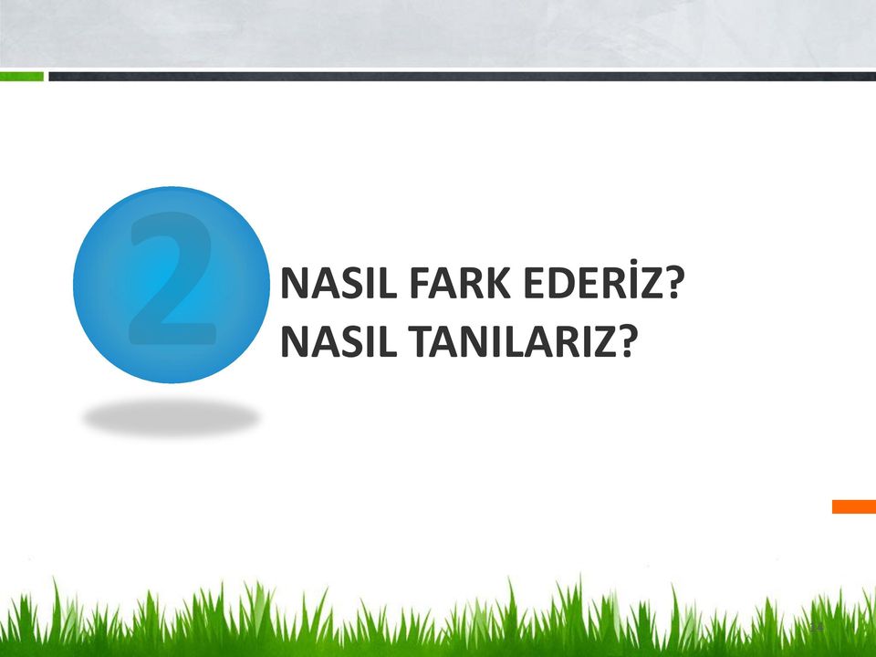 EDERİZ?