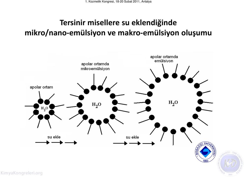 mikro/nano-emülsiyon