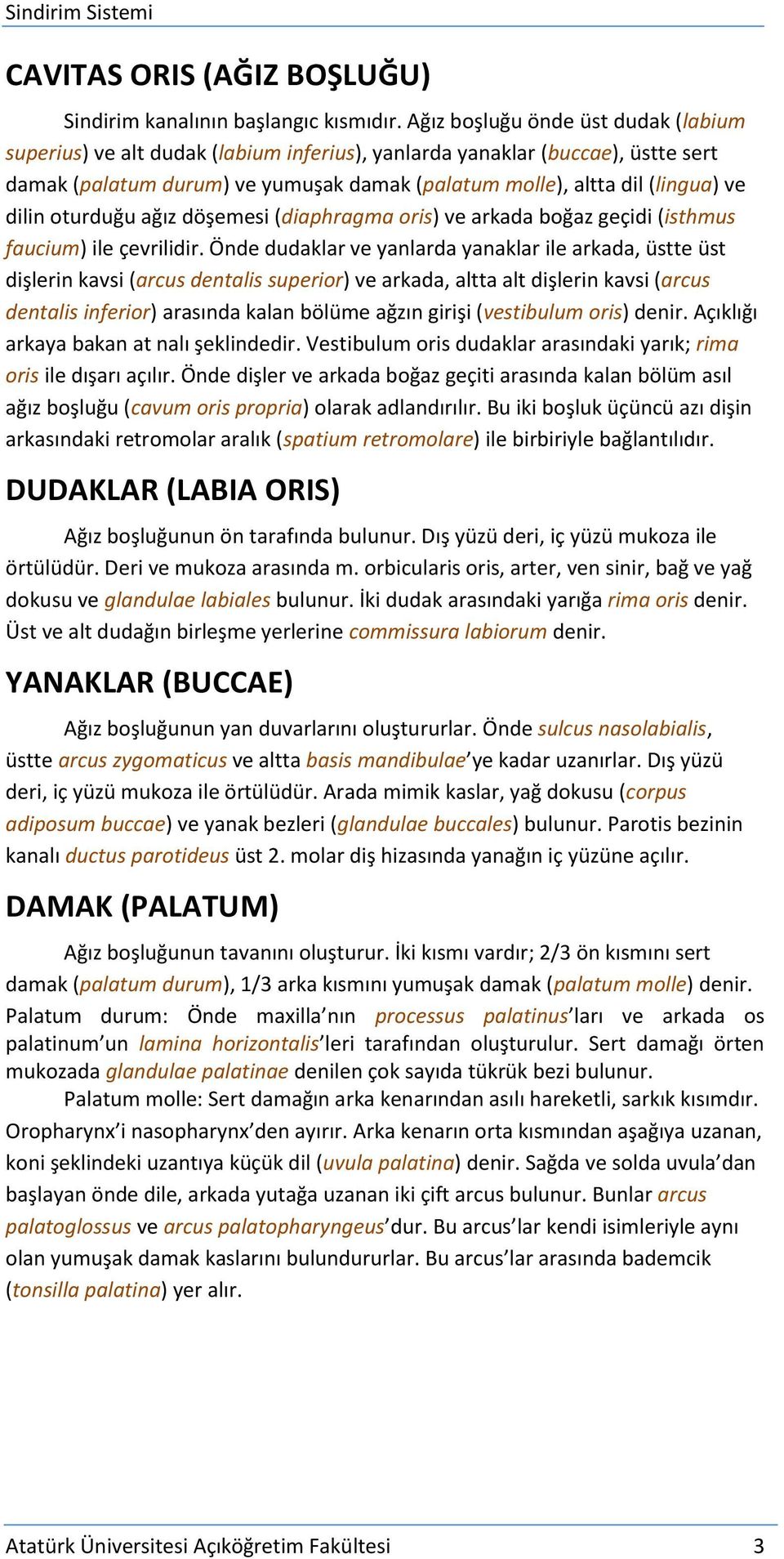 dilin oturduğu ağız döşemesi (diaphragma oris) ve arkada boğaz geçidi (isthmus faucium) ile çevrilidir.