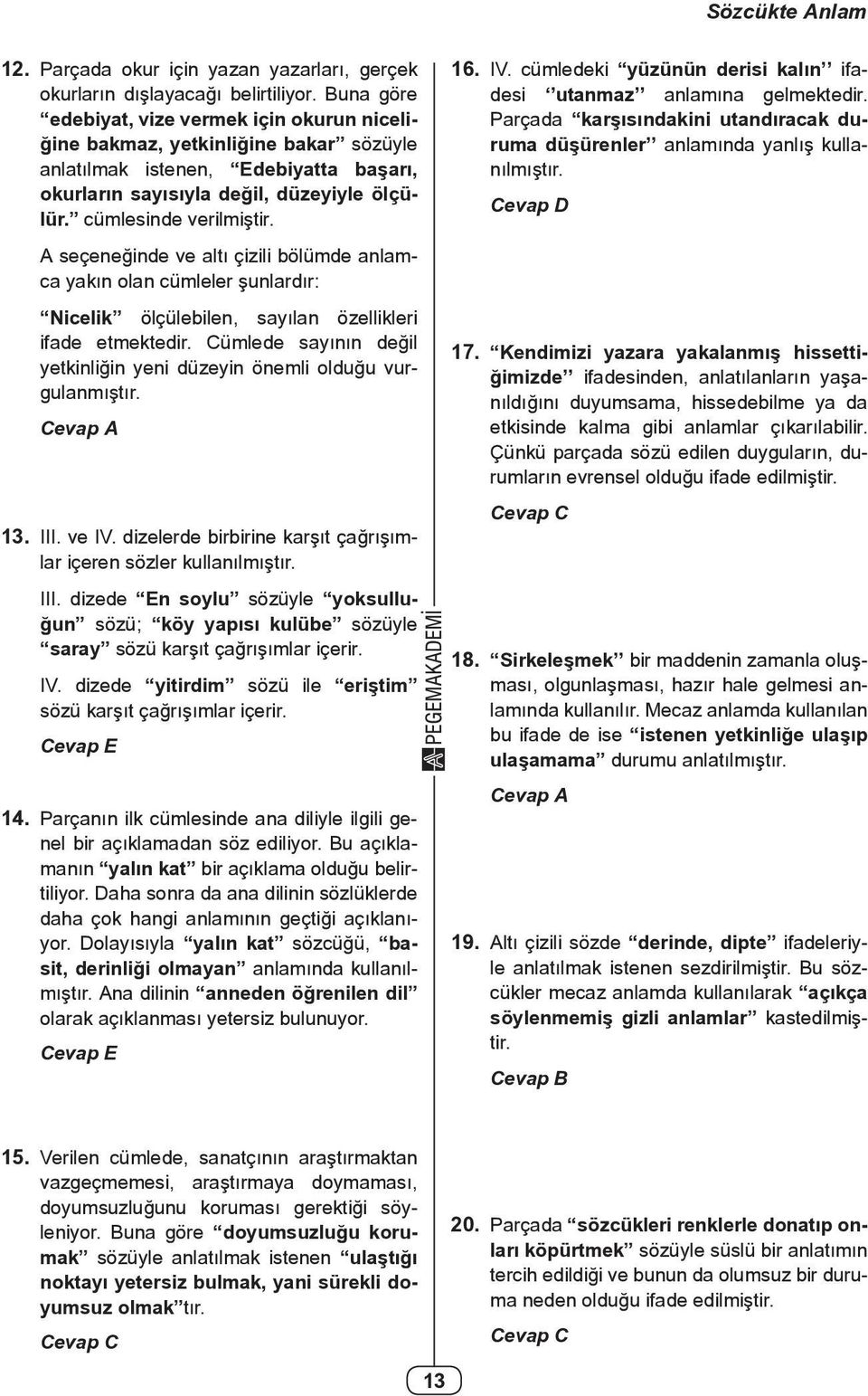 IV. cüledeki yüzünün derisi kalın ifadesi utanaz anlaına gelektedir. Parçada karşısındakini utandıracak durua düşürenler anlaında yanlış kullanılıştır.