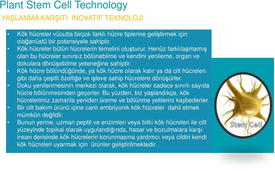 Kök hücre bölündüğünde, ya kök hücre olarak kalır ya da cilt hücreleri gibi daha çeşitli özelliğe ve işleve sahip hücrelere dönüşürler.