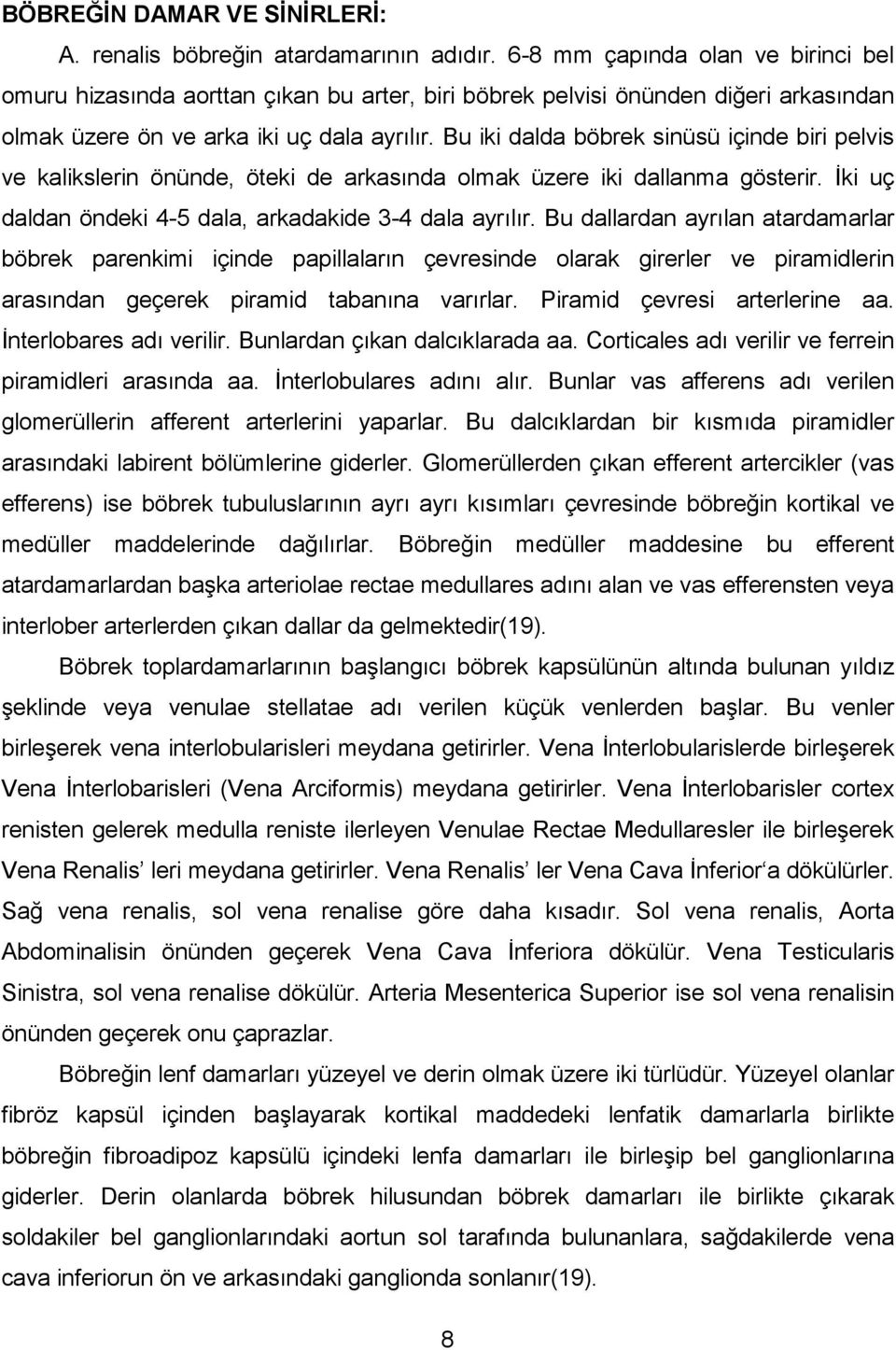 Bu iki dalda böbrek sinüsü içinde biri pelvis ve kalikslerin önünde, öteki de arkas nda olmak üzere iki dallanma gösterir. 0ki uç daldan öndeki 4-5 dala, arkadakide 3-4 dala ayr l r.