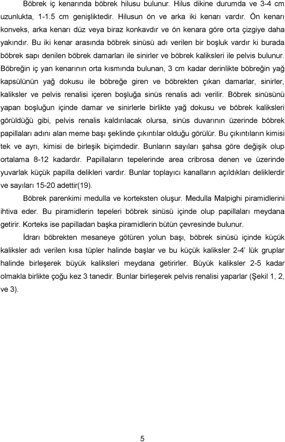 Bu iki kenar aras nda böbrek sinüsü ad verilen bir boluk vard r ki burada böbrek sap denilen böbrek damarlar ile sinirler ve böbrek kaliksleri ile pelvis bulunur.