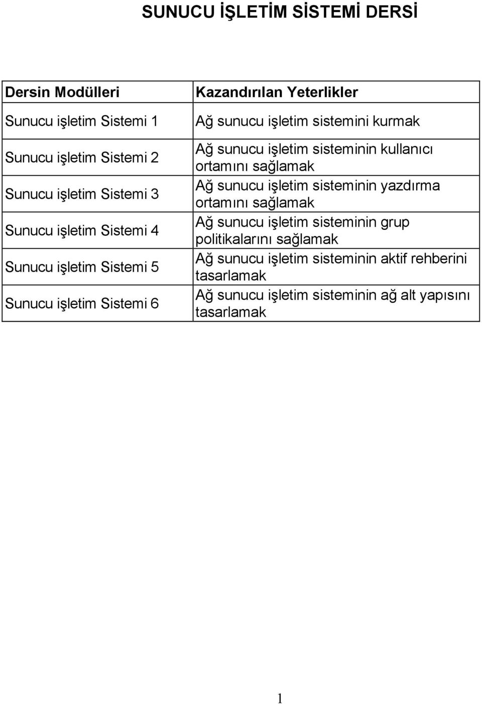 sunucu işletim sisteminin kullanıcı ortamını sağlamak Ağ sunucu işletim sisteminin yazdırma ortamını sağlamak Ağ sunucu işletim