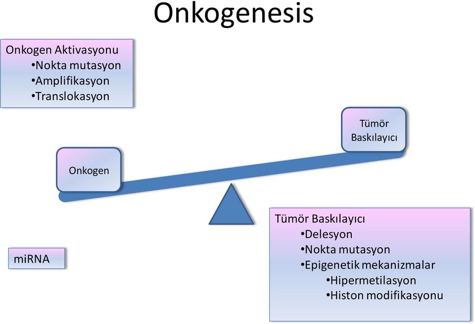 Onkogen mirna Tümör Baskılayıcı Delesyon Nokta