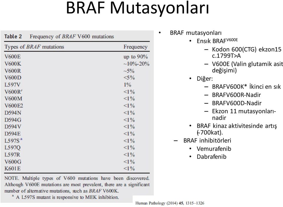 1799t>a V600E (Valin glutamik asit değişimi) Diğer: BRAFV600K* İkinci en