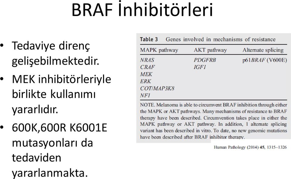 MEK inhibitörleriyle birlikte kullanımı