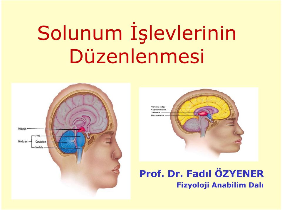 Dr. Fadıl ÖZYENER