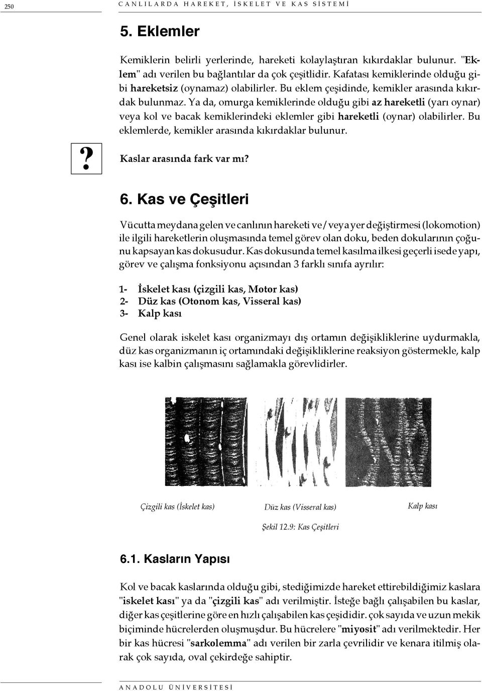 Ya da, omurga kemiklerinde olduğu gibi az hareketli (yarı oynar) veya kol ve bacak kemiklerindeki eklemler gibi hareketli (oynar) olabilirler. Bu eklemlerde, kemikler arasında kıkırdaklar bulunur.