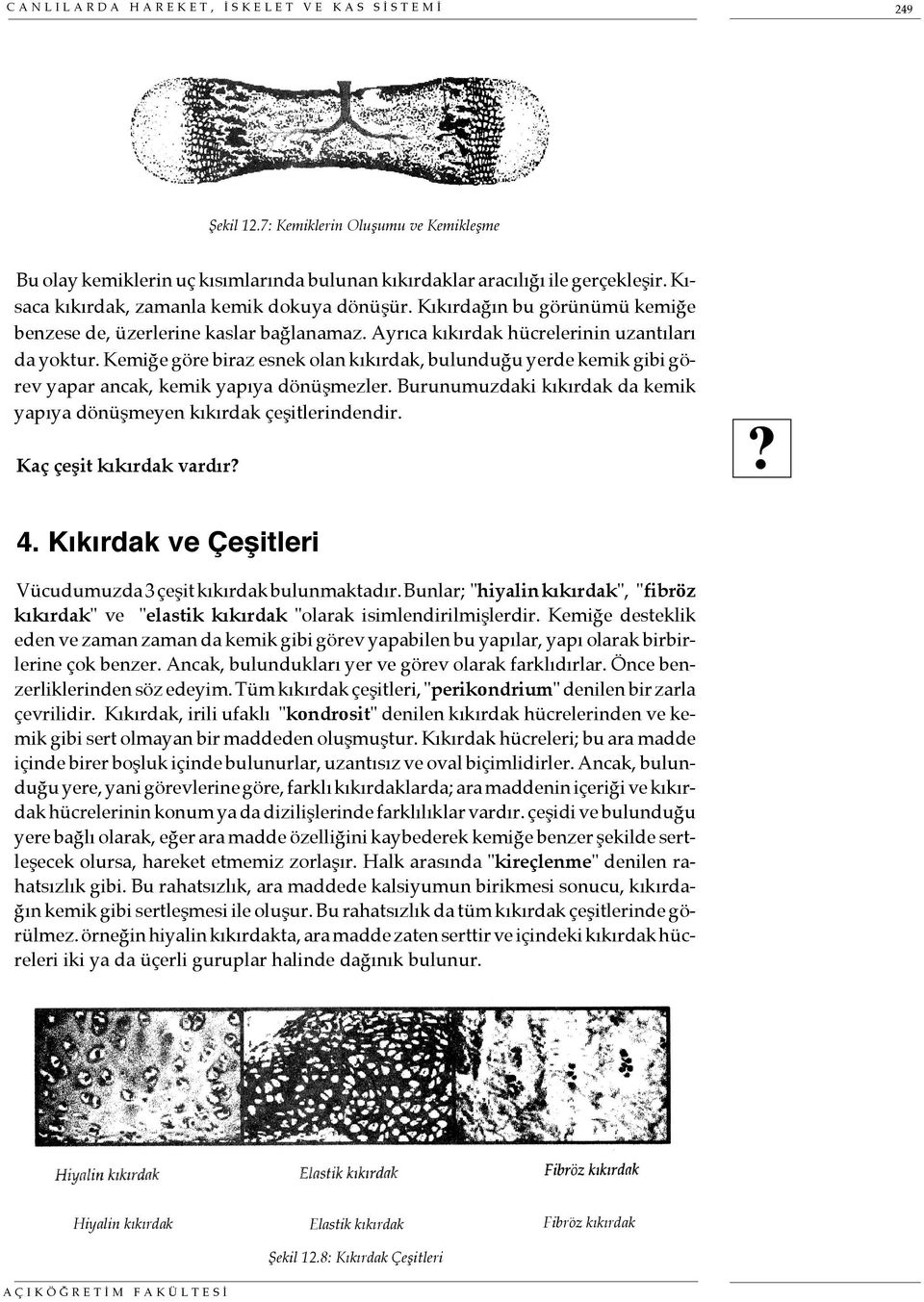 Kemiğe göre biraz esnek olan kıkırdak, bulunduğu yerde kemik gibi görev yapar ancak, kemik yapıya dönüşmezler. Burunumuzdaki kıkırdak da kemik yapıya dönüşmeyen kıkırdak çeşitlerindendir.