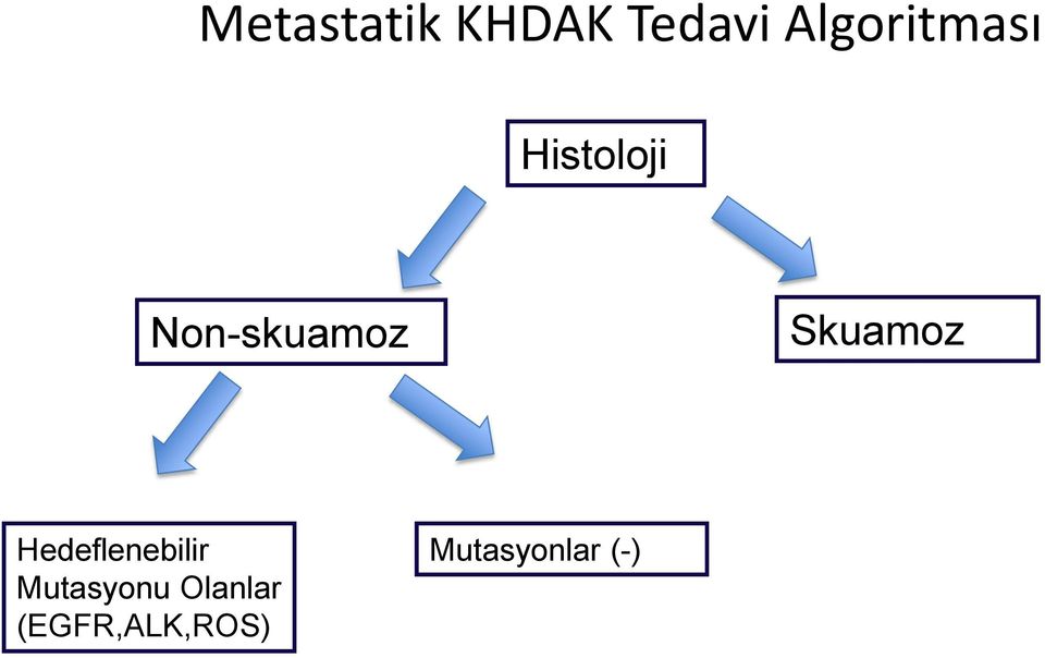 Non-skuamoz Skuamoz