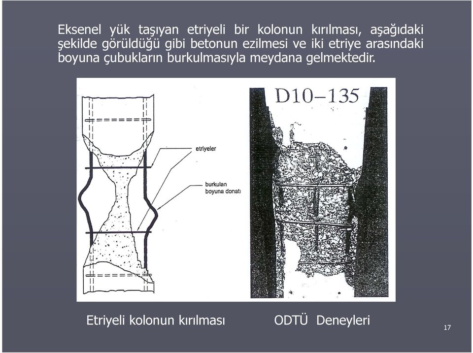 iki etriye arasındaki boyuna çubukların burkulmasıyla