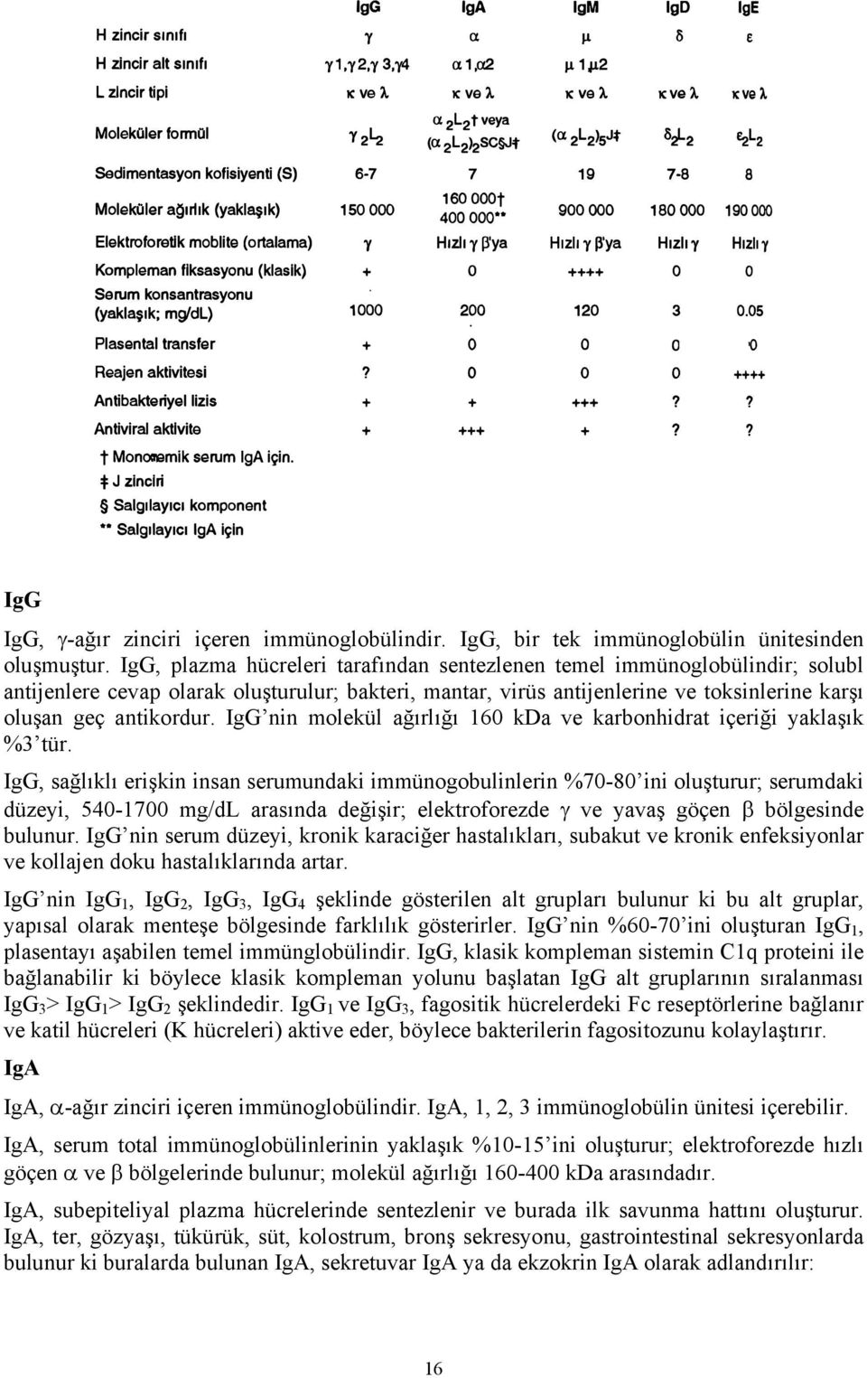 IgG nin molekül ağırlığı 160 kda ve karbonhidrat içeriği yaklaşık %3 tür.