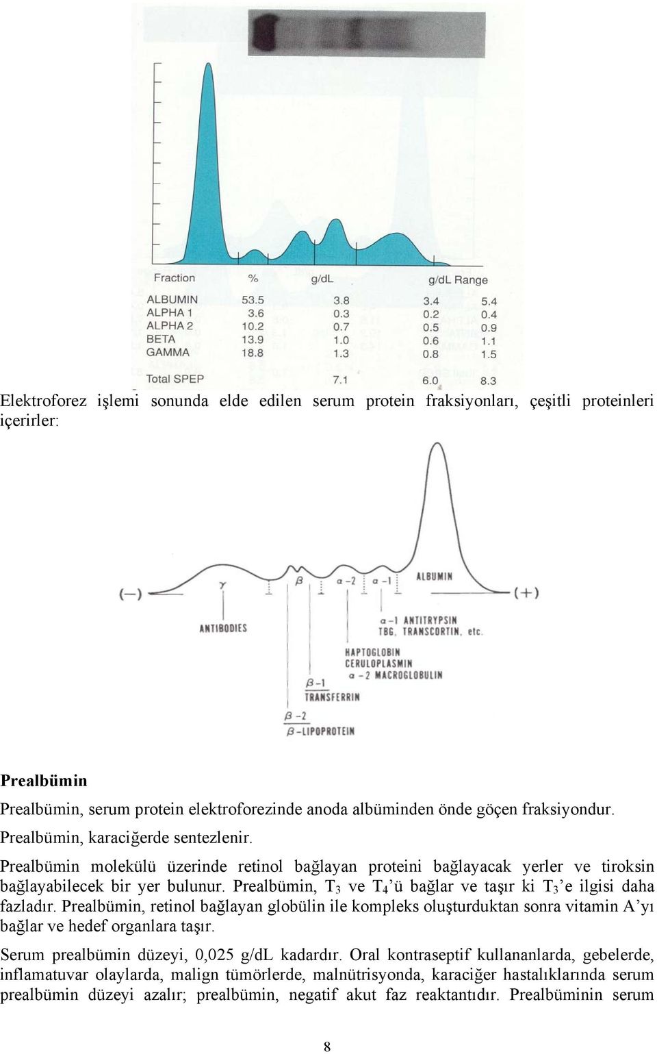 Prealbümin, T 3 ve T 4 ü bağlar ve taşır ki T 3 e ilgisi daha fazladır. Prealbümin, retinol bağlayan globülin ile kompleks oluşturduktan sonra vitamin A yı bağlar ve hedef organlara taşır.