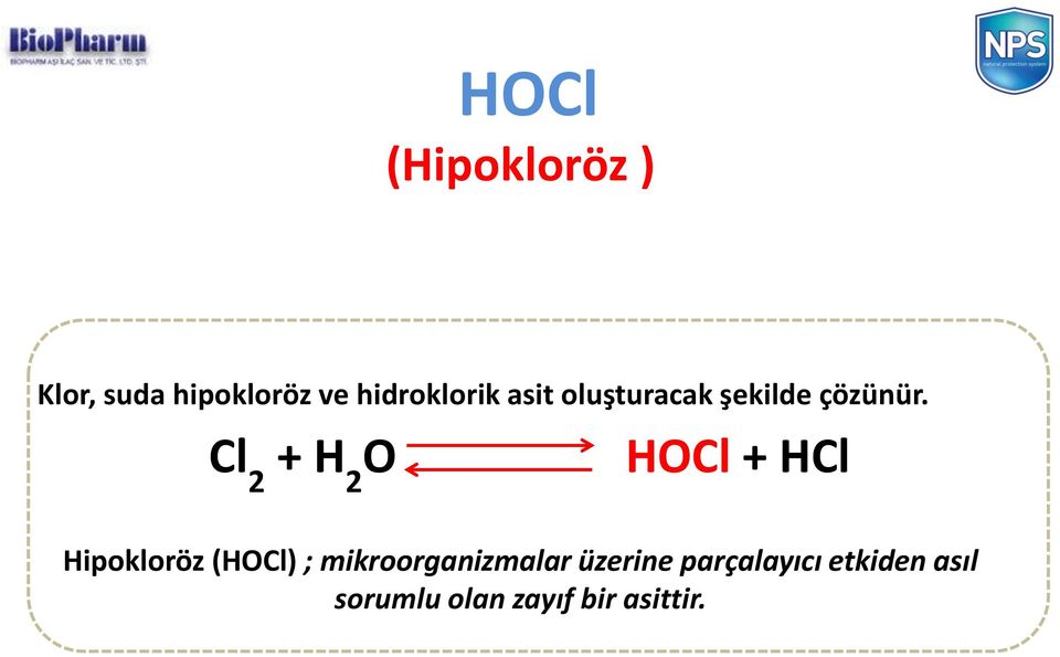 Cl 2 + H 2 O HOCl + HCl Hipokloröz (HOCl) ;