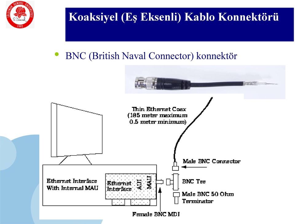 Konnektörü BNC