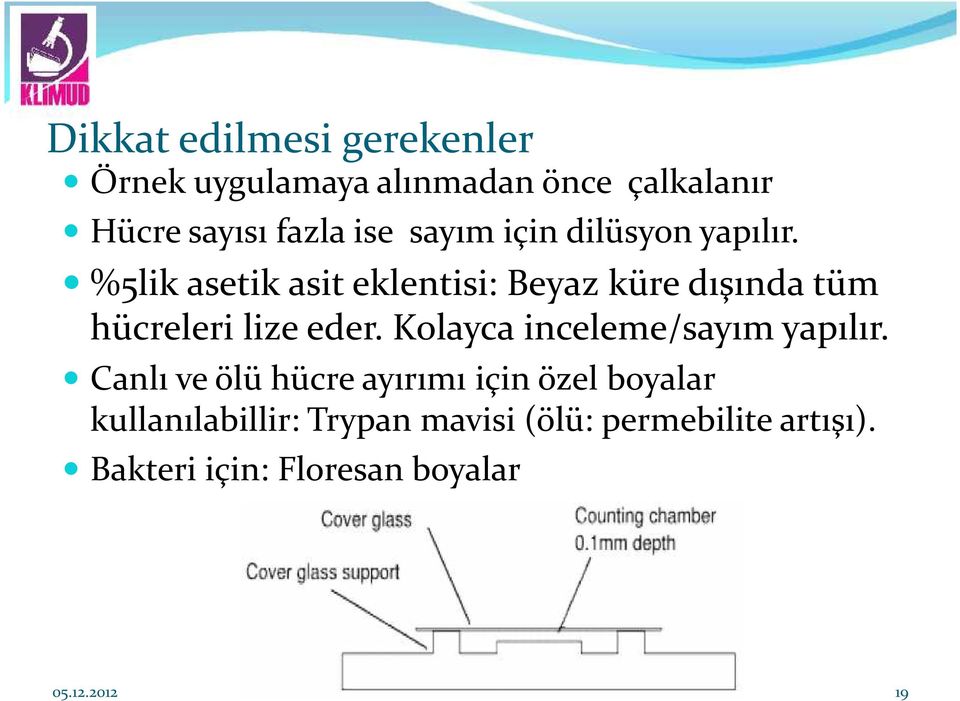 %5lik asetik asit eklentisi: Beyaz küre dışında tüm hücreleri lize eder.