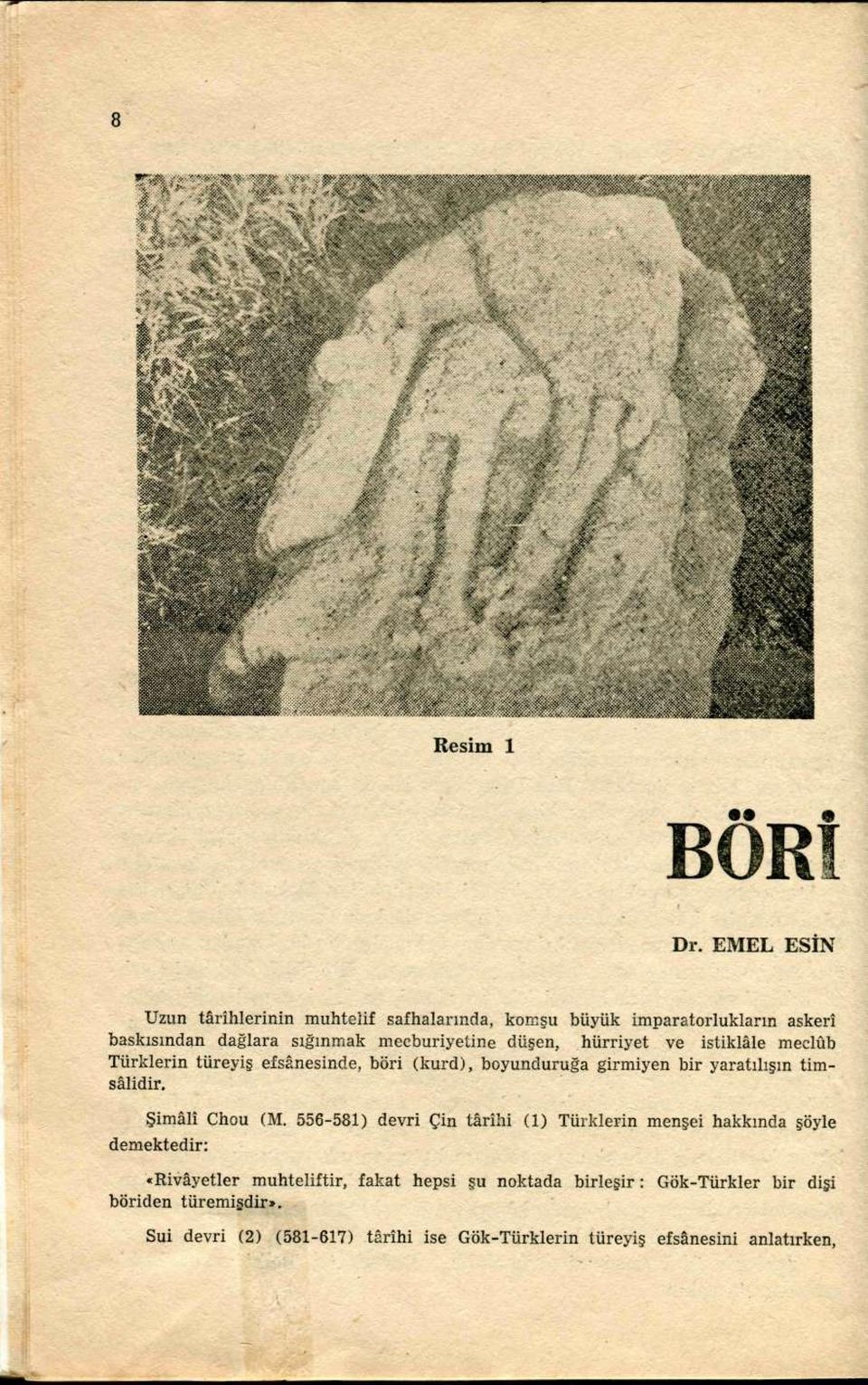 hürriyet ve istiklâle meclûb Türklerin türeyiş efsânesinde, böri (kurd), boyunduruğa girmiyen bir yaratılışın timsâlidir. Şimalî Chou (M.