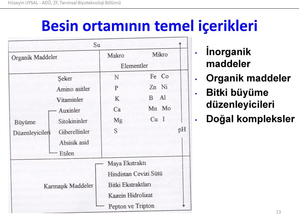 Organik maddeler Bitki büyüme