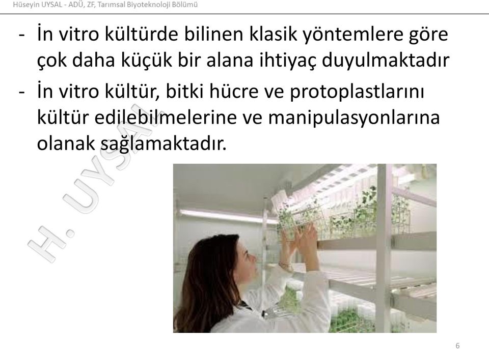 kültür, bitki hücre ve protoplastlarını kültür