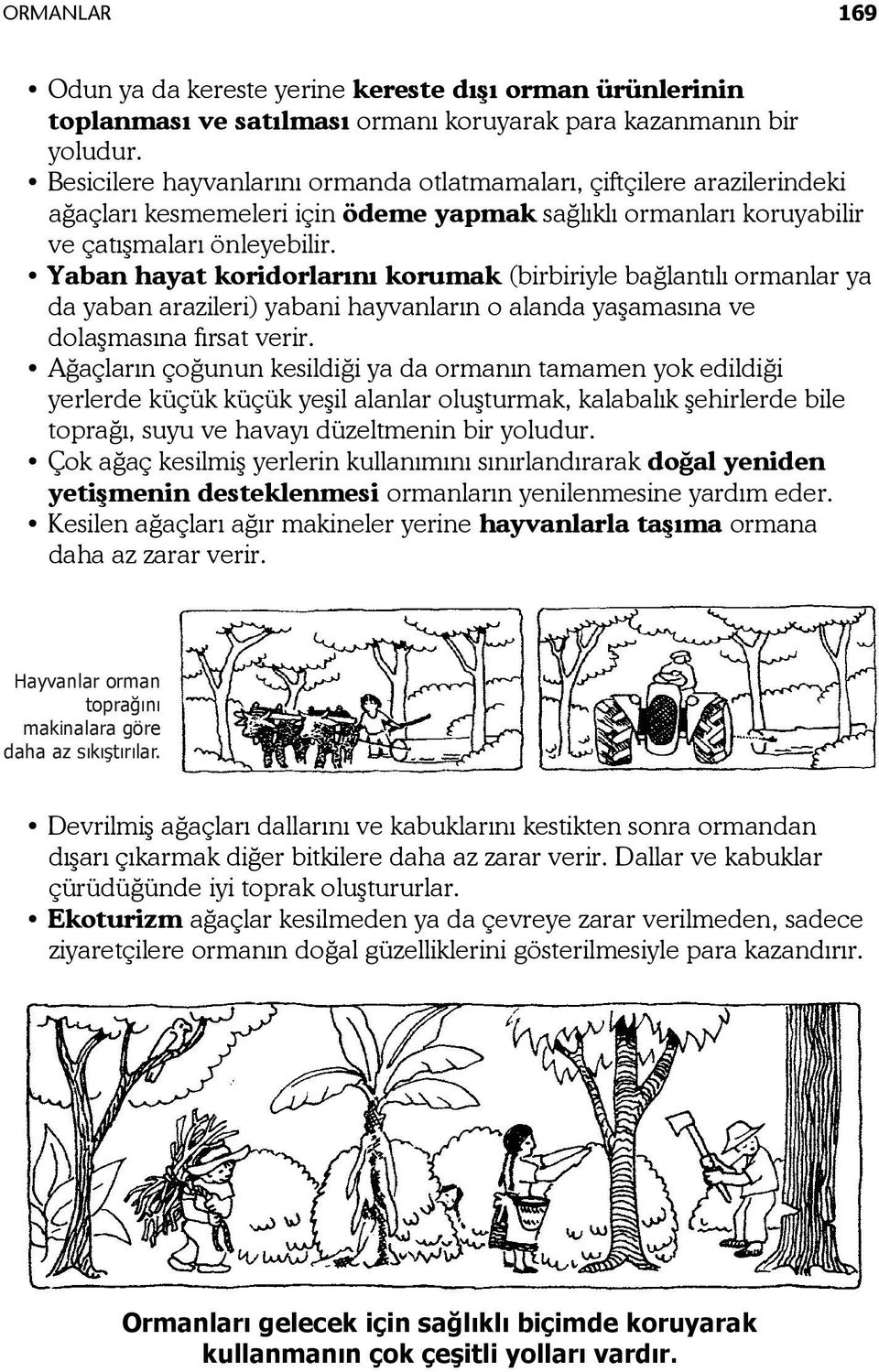 Yaban hayat koridorlarını korumak (birbiriyle bağlantılı ormanlar ya da yaban arazileri) yabani hayvanların o alanda yaşamasına ve dolaşmasına fırsat verir.