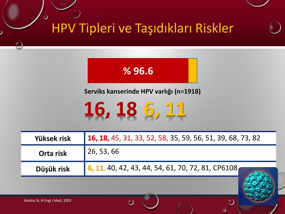 16, 18, 45, 31, 33, 52, 58, 35, 59, 56, 51, 39, 68, 73, 82 Orta risk