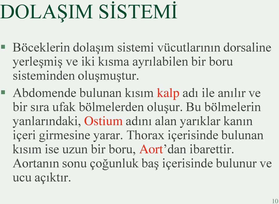 Bu bölmelerin yanlarındaki, Ostium adını alan yarıklar kanın içeri girmesine yarar.