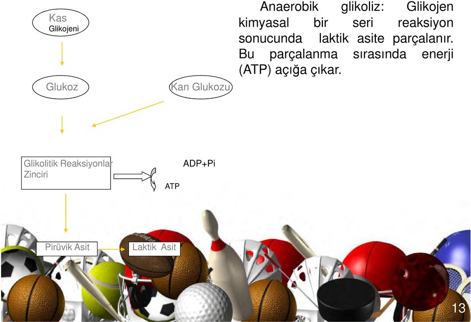 Bu parçalanma sırasında enerji (ATP) açığa çıkar.