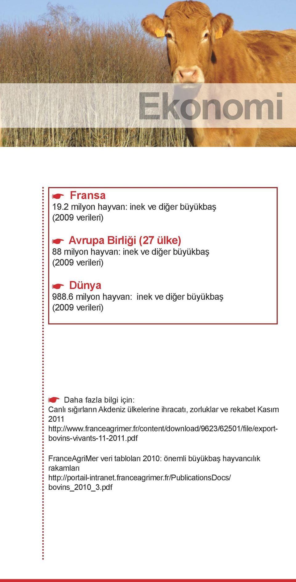 Dünya 988.