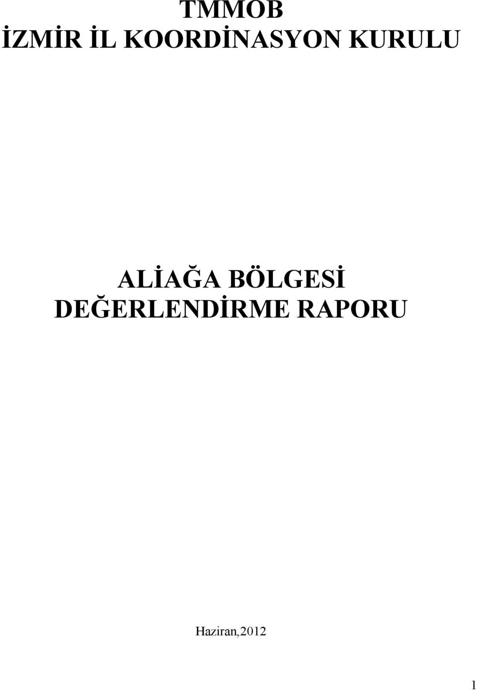 ALİAĞA BÖLGESİ